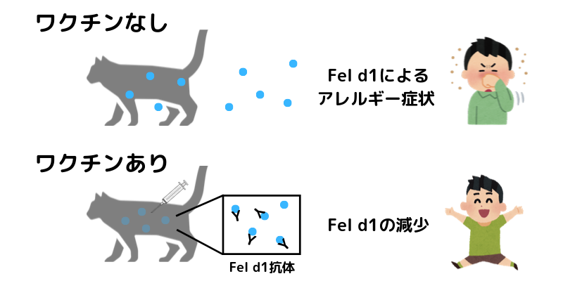 猫アレルギー症状を軽減する 猫に接種するワクチン とは げぼくの教科書