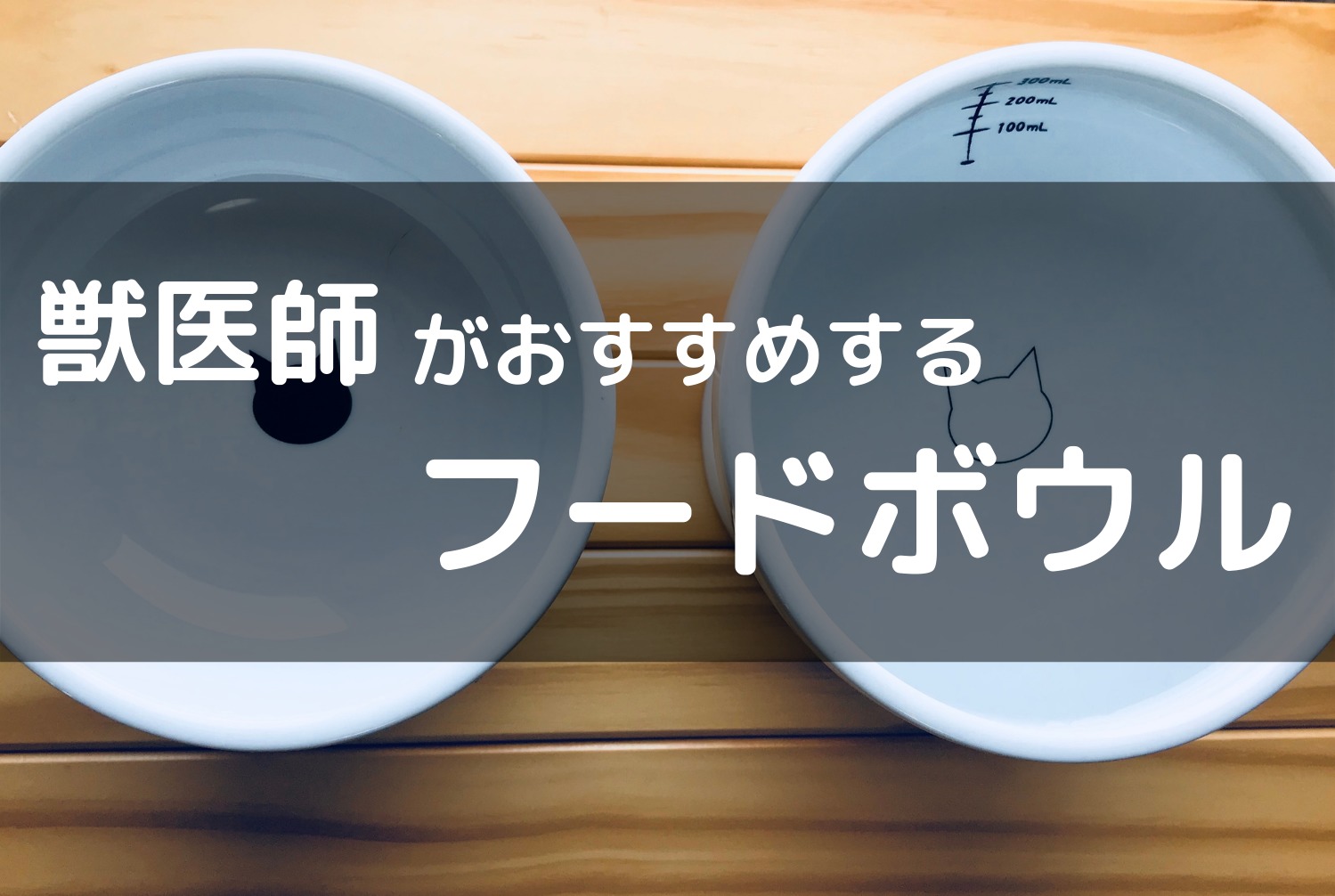 獣医師おすすめ 猫の食器は陶器で食べやすい高さのものを選ぼう げぼくの教科書