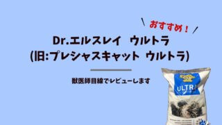 Dr.エルスレイ