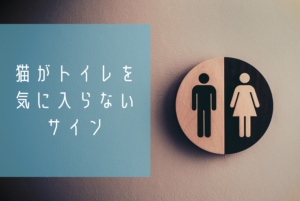 猫がトイレを気に入らないサインとは?→縁に乗る・足をかける・入るけどしない